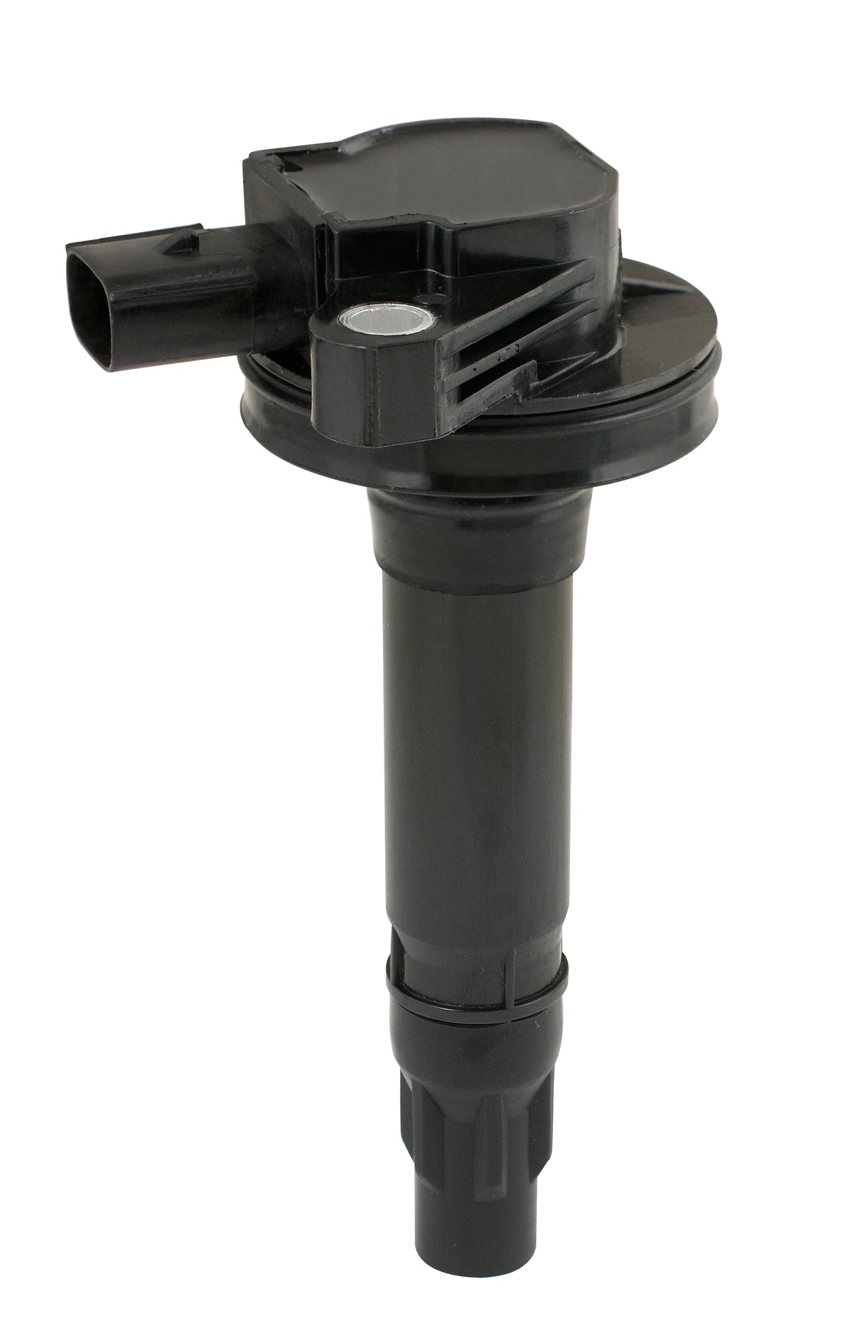 420013.jpg