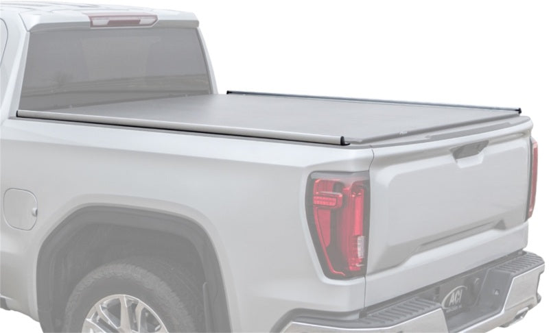Access 04-24 Ford F-150 (Except 04 Heritage) & 06-08 Lincoln Mark LT 5.5ft Box - Silver