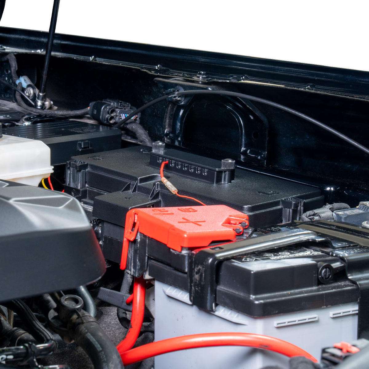 IAG-ACC-F3196-03.jpg