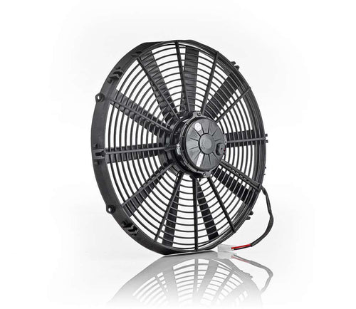 BEC75001.jpg