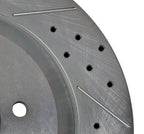 BIG Claw Up Close.jpg