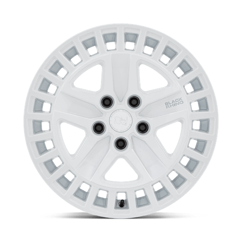 ALSTON 18X8.5 5X120 74 G-WHT +25