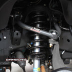 CAM-110078_LS1.jpg