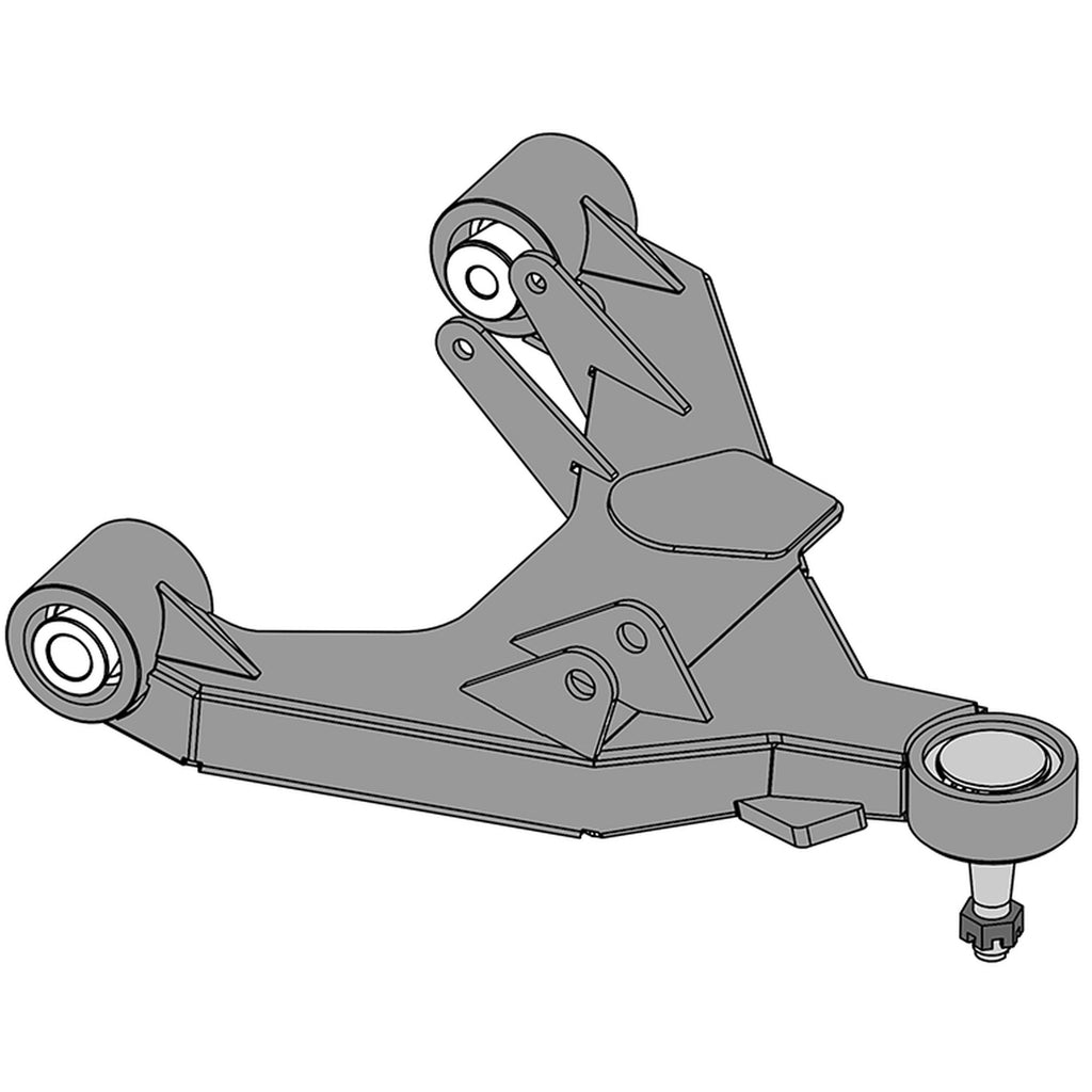 CAM-310166.jpg