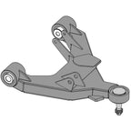 CAM-310167.jpg