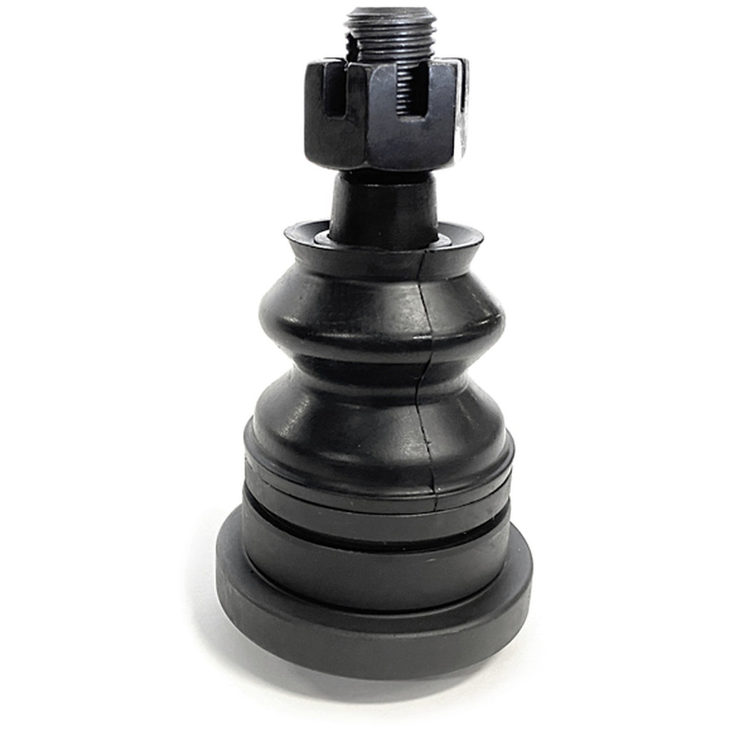 CAM-950152.jpg