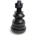 CAM-950152.jpg