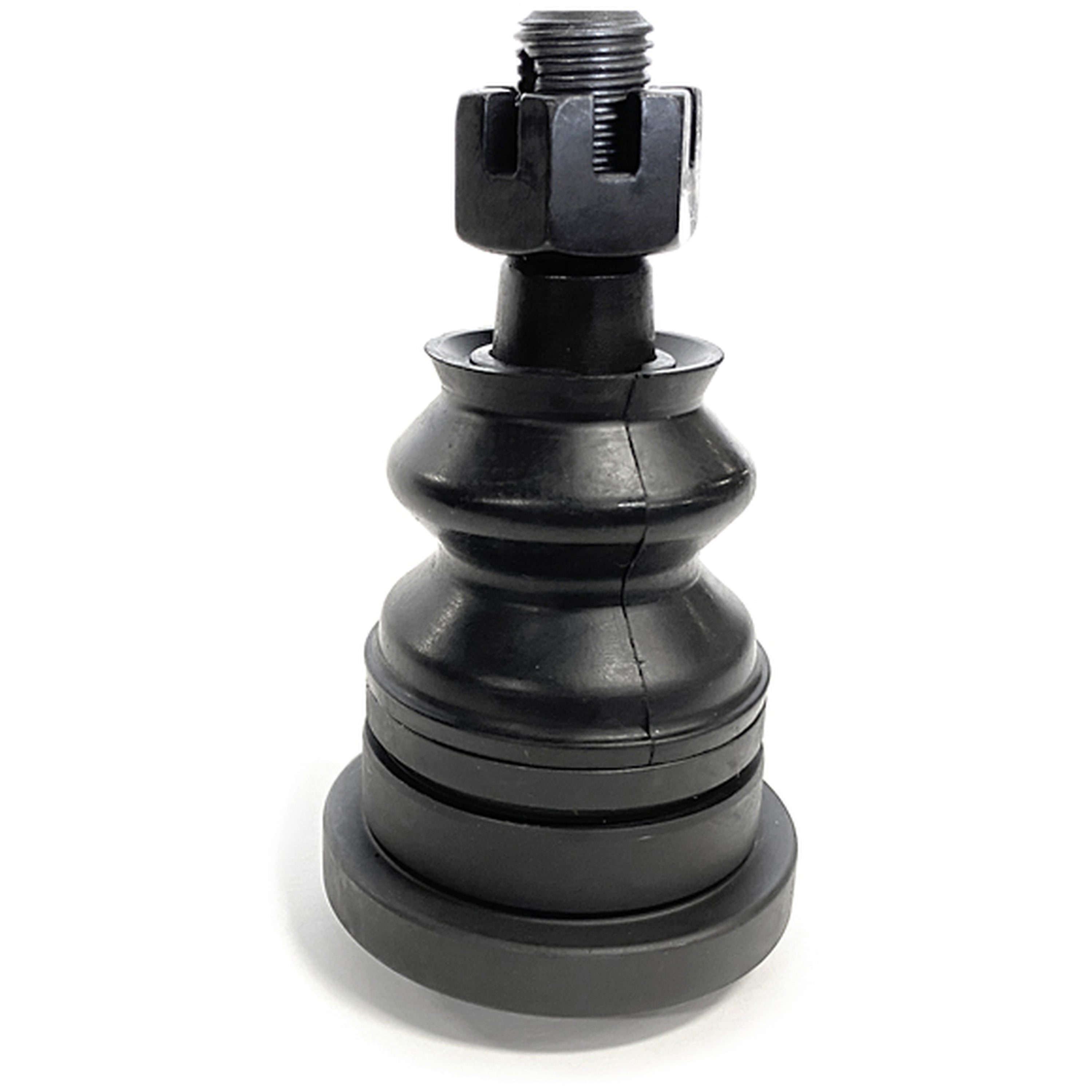 CAM-950152.jpg