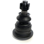 CAM-950153.jpg