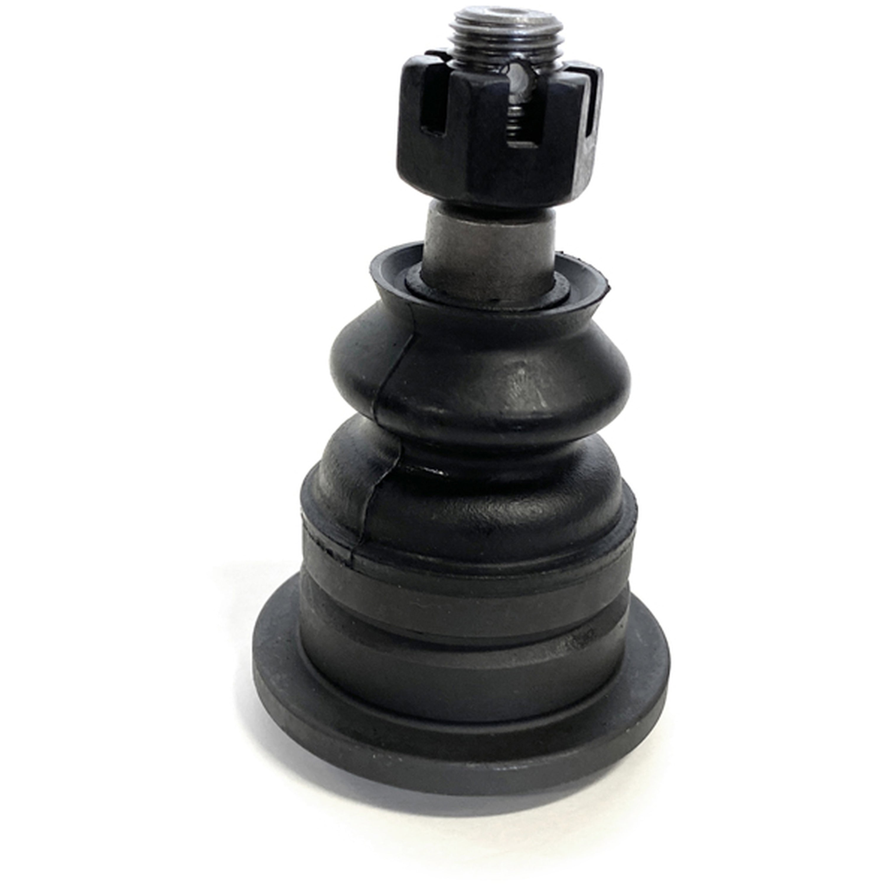 CAM-950153.jpg