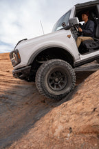 JOHN_CHOI_BRONCO_4_WEBLARGE.jpg