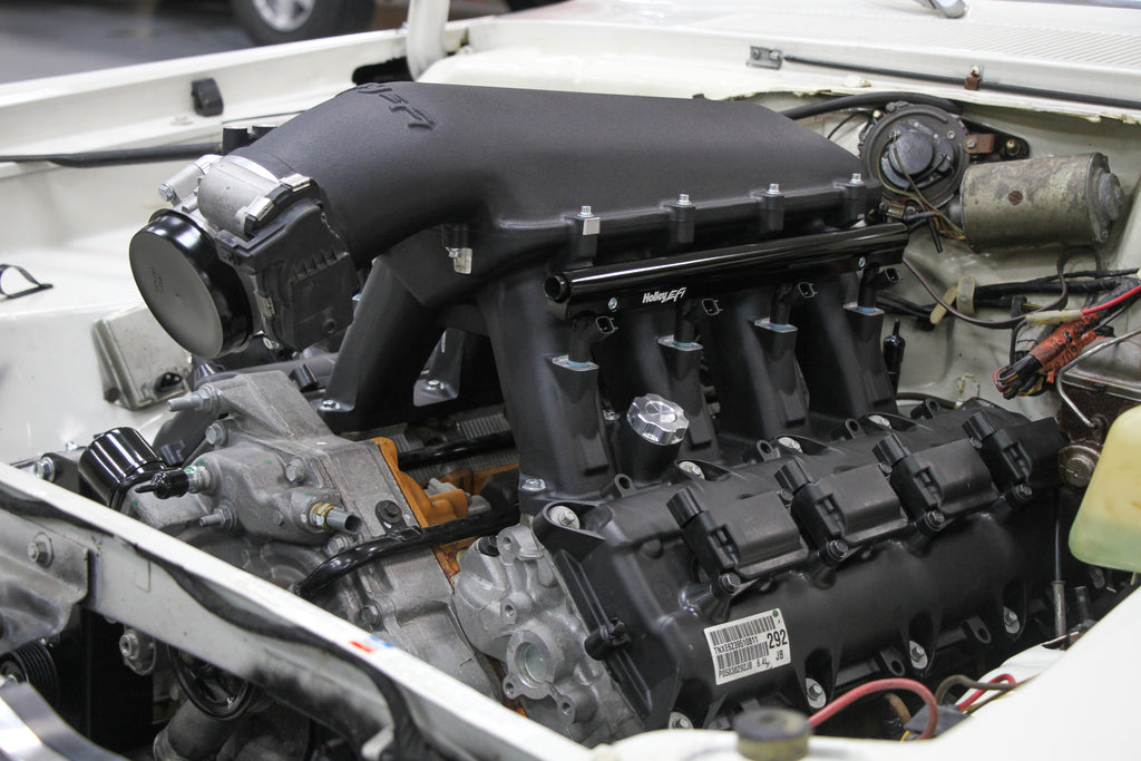 scamp_hi-ram_01.jpg