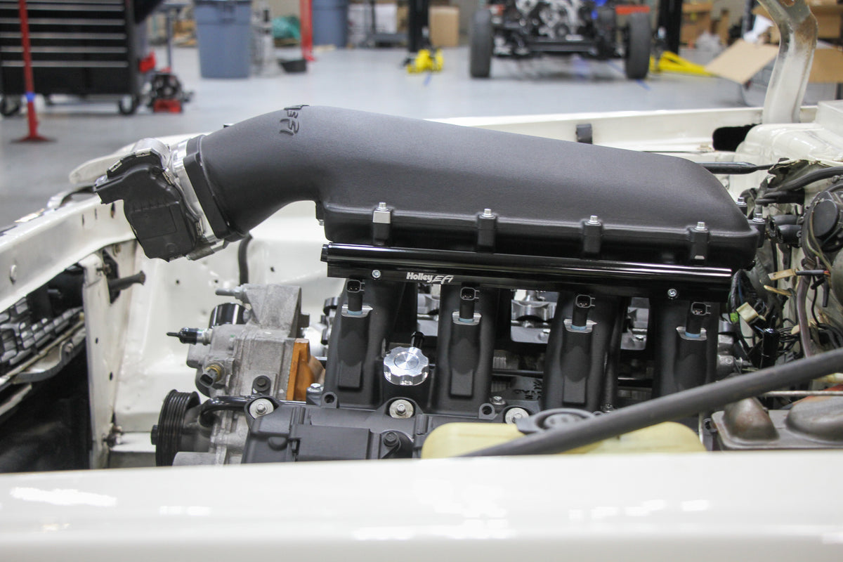 scamp_hi-ram_02.jpg