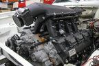 scamp_hi-ram_03.jpg