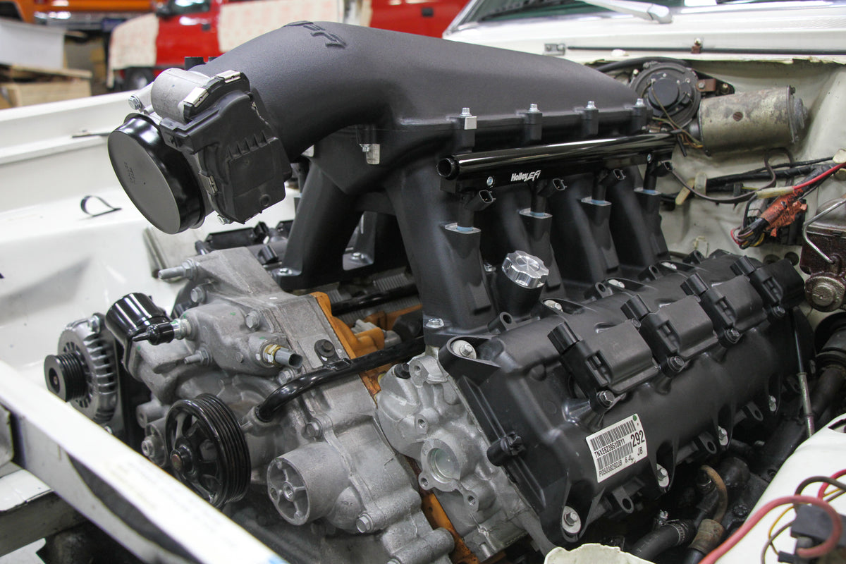 scamp_hi-ram_03.jpg