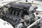 scamp_hi-ram_04.jpg
