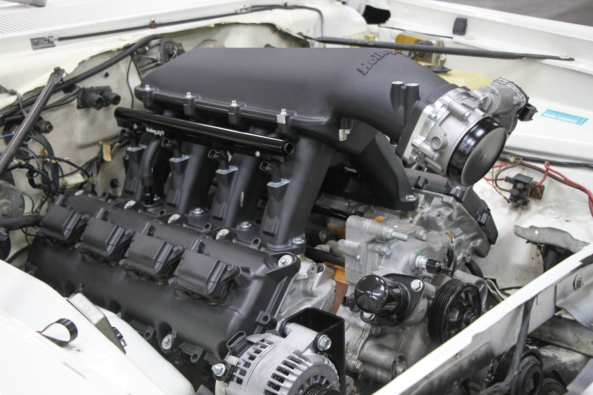 scamp_hi-ram_04.jpg