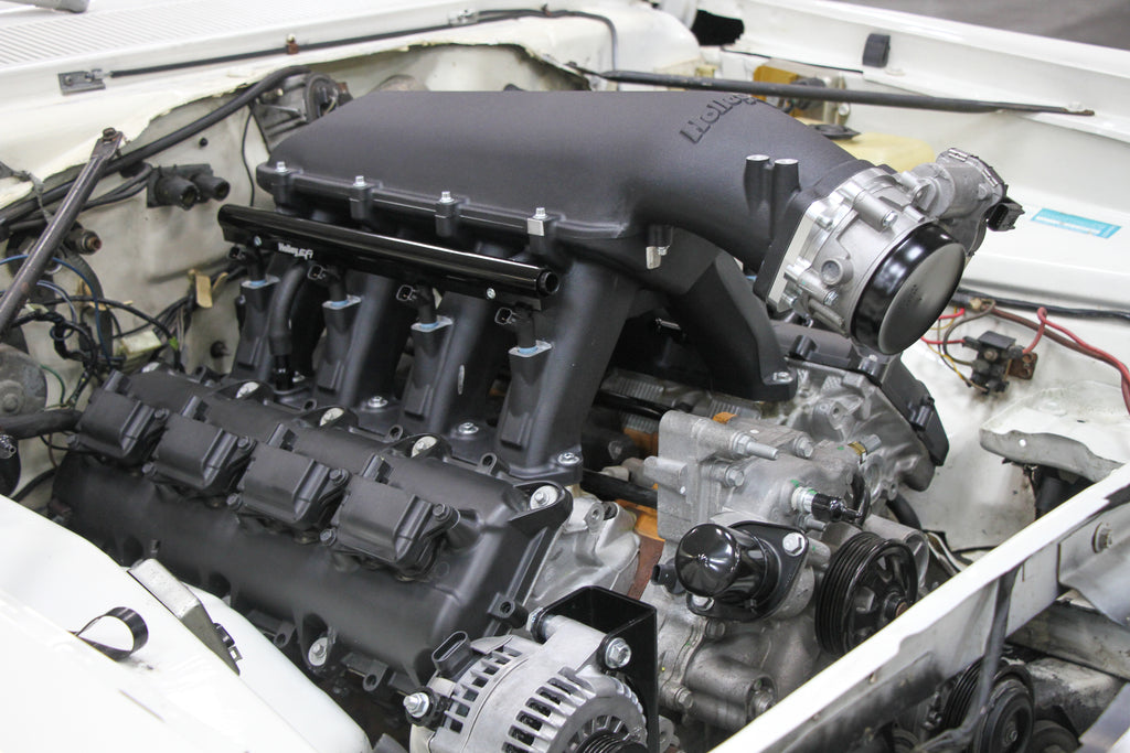 scamp_hi-ram_04.jpg