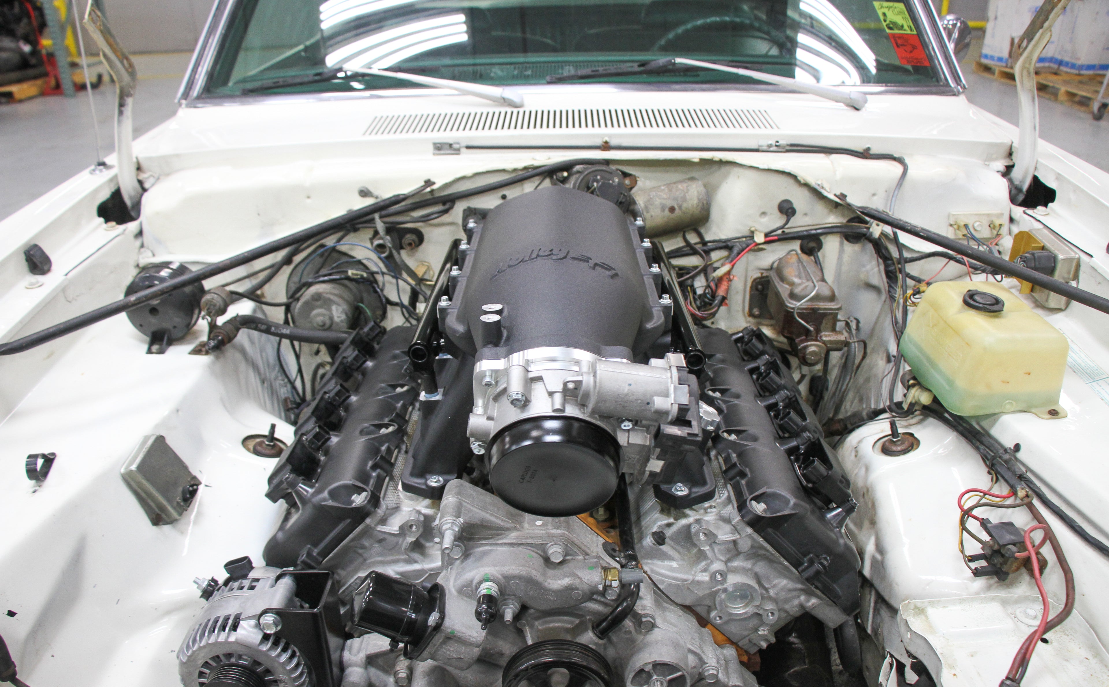 scamp_hi-ram_05.jpg